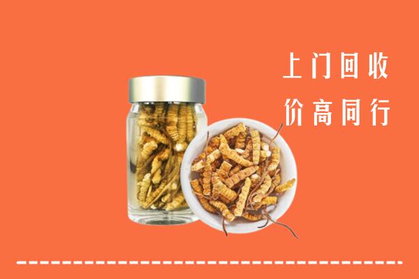 包头昆都仑区回收冬虫夏草